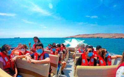 optimized_Sin-t_tulo-1-PLATAFORMA-TUIRSMO-I